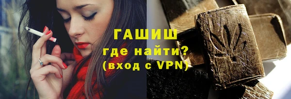 твердый Чегем