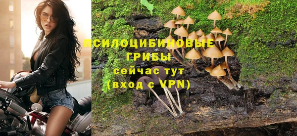марихуана Каменногорск