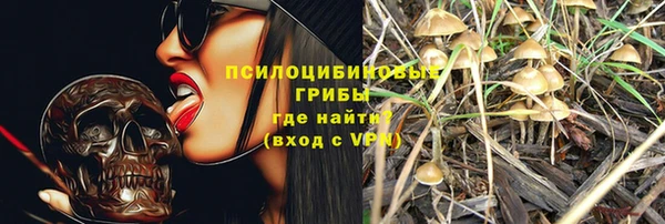 бутират Каменка