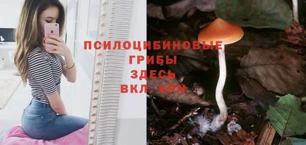 мефедрон мука Каменск-Шахтинский